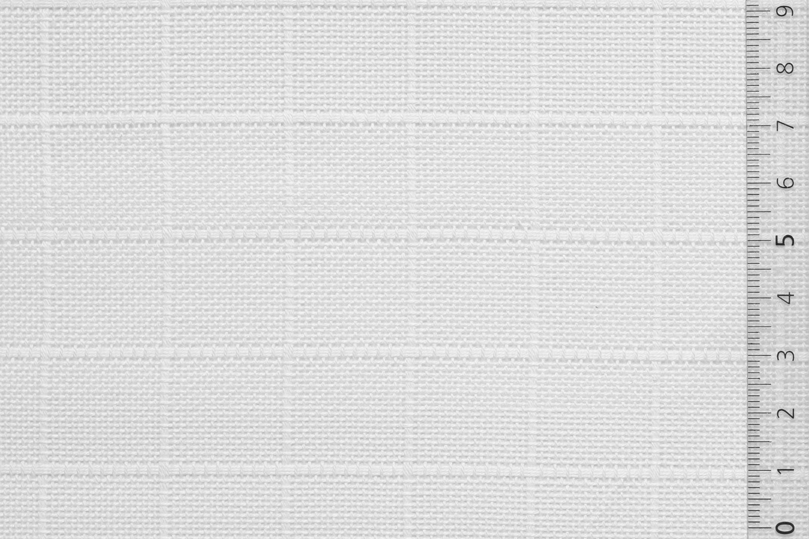 05SENAIDCAR000WHIxxxCOT[SHEET AIDA Stripe CARRO](WHITE)F